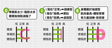 體型分析|InBody數據怎麼看？測量前注意事項、CID型體態曲線。